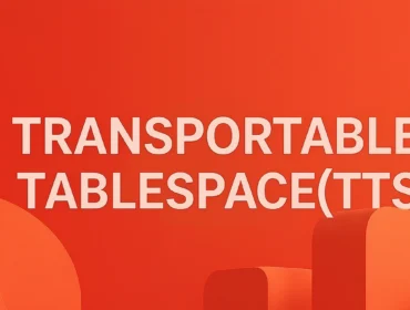 TRANSPORTABLE TABLESPACES